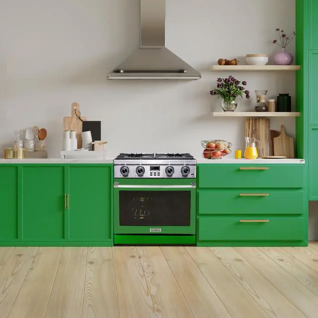 Alt view image 4 of 4 - Pro-Style 30 in. 4-Element Slide-In Gas Range with Convection in Stainless with Green Door