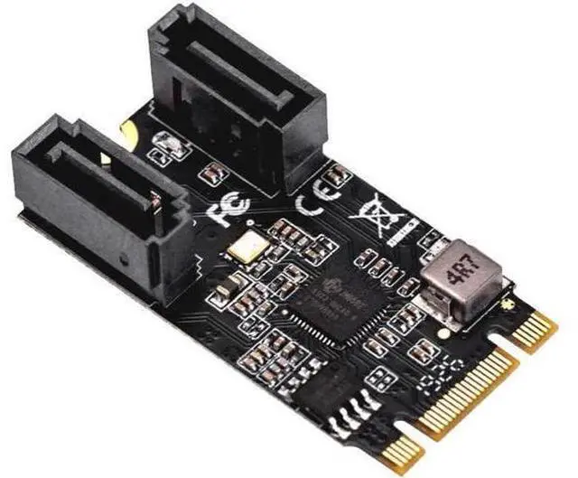 Main image of Mouse