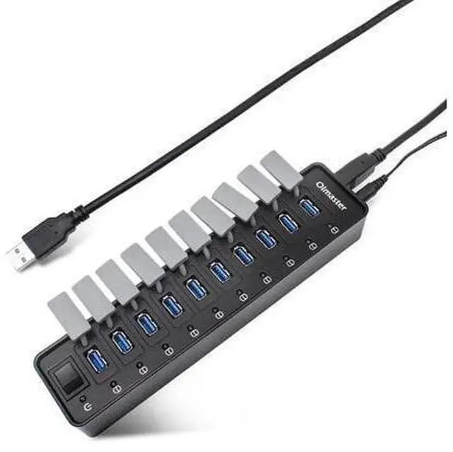 Main image of Mouse