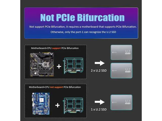 Alt view image 5 of 7 - Dual U.2 to PCIe 4.0 X8 Adapter Without PCIe Bifurcation, Setup Soft U.2 SSD RAID via OS Tool, (PCIe Bifurcation Motherboard is Required)