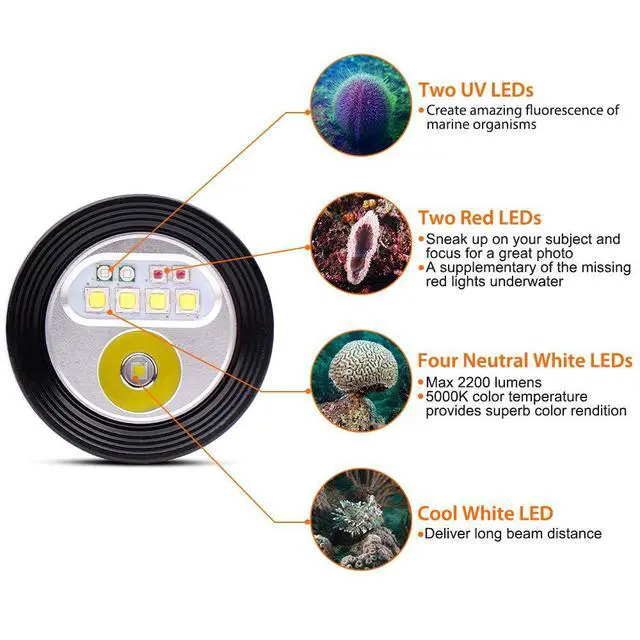Alt view image 2 of 7 - D900V Underwater Video Dive Light - 2200 Lumens with 4 Colors, Red, UV, Neutral White 120° Flood Beam & Cool White 8° Spot Beam, Dual Titanium Alloy Switch, Battery Indicator for Photography