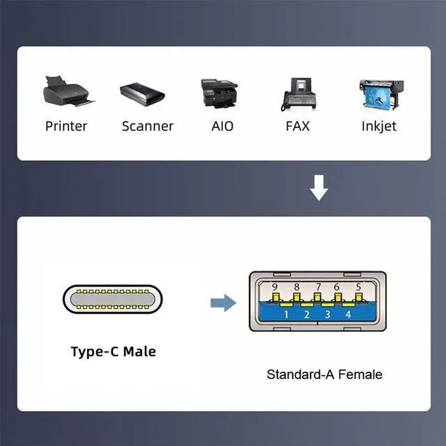 Alt view image 5 of 7 - xiwai OTG USB-C Type-C Host to USB3.0-A Female Stretch Coiled Cable Extension 5Gbps for Disk Phone Camera Data 100cm