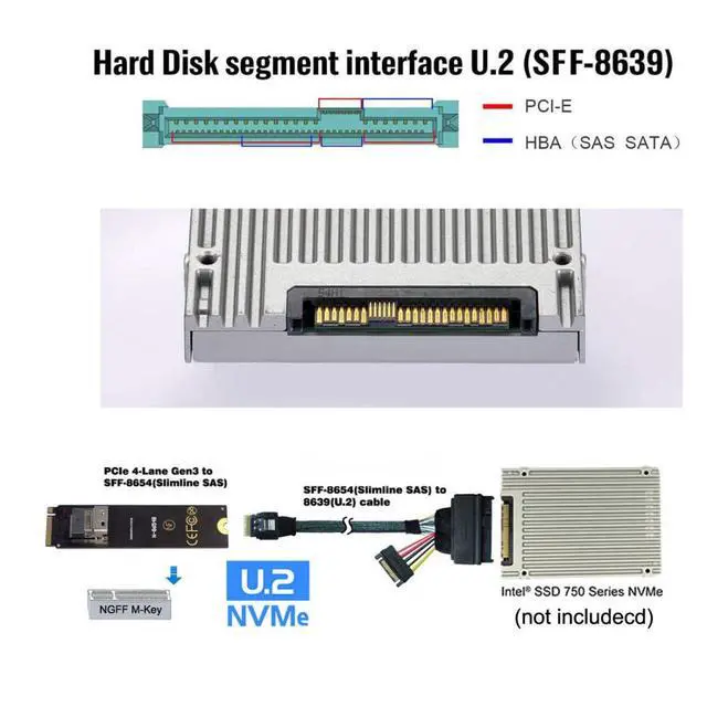 Alt view image 3 of 7 - PCIe 4.0 M.2 NGFF to Slimline SAS SFF-8654 Adapter 2280MM with SFF-8654 to SFF-8639 Cable for U.2 SFF-8639 NVME PCIe SSD
