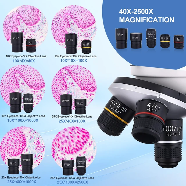 Alt view image 2 of 7 - Microscope for Adults & Kids, 40X-2500X High-Power Compound Microscope for Students, School Lab & Home Schooling,Equiped with Slides Set & Phone Holder (White)