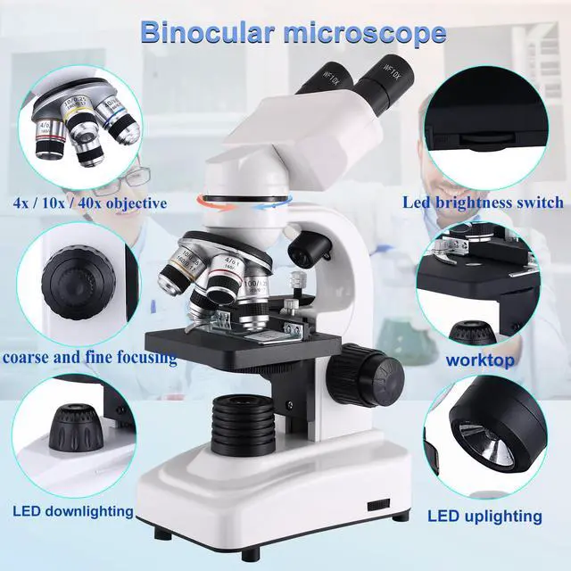 Alt view image 5 of 6 - Compound Microscope,40X-2500X ,WF10x and WF25x eyepieces, Dual LED Lighting and Two-Layer Mechanical Stage,Microscope for Adults