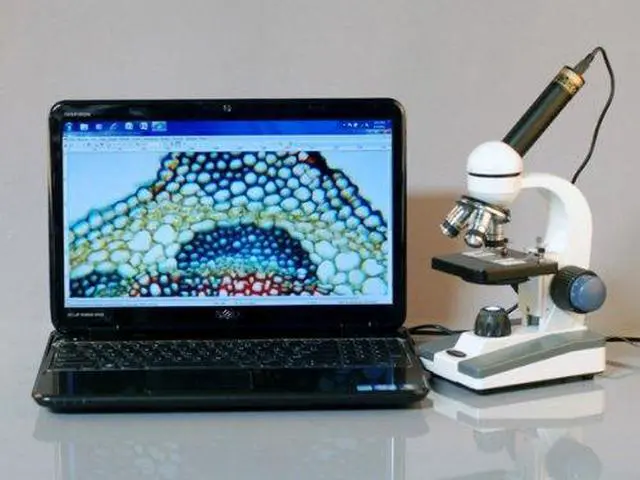 Alt view image 2 of 6 - M150C-MS 1000X Biological Compound Microscope with Sturdy | 40X-1000X Magnification Range All-Metal Construction Optical Glass Lenses Mechanical Stage