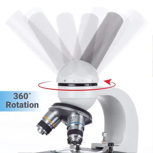Alt view image 3 of 6 - M150C-MS 1000X Biological Compound Microscope with Sturdy | 40X-1000X Magnification Range All-Metal Construction Optical Glass Lenses Mechanical Stage