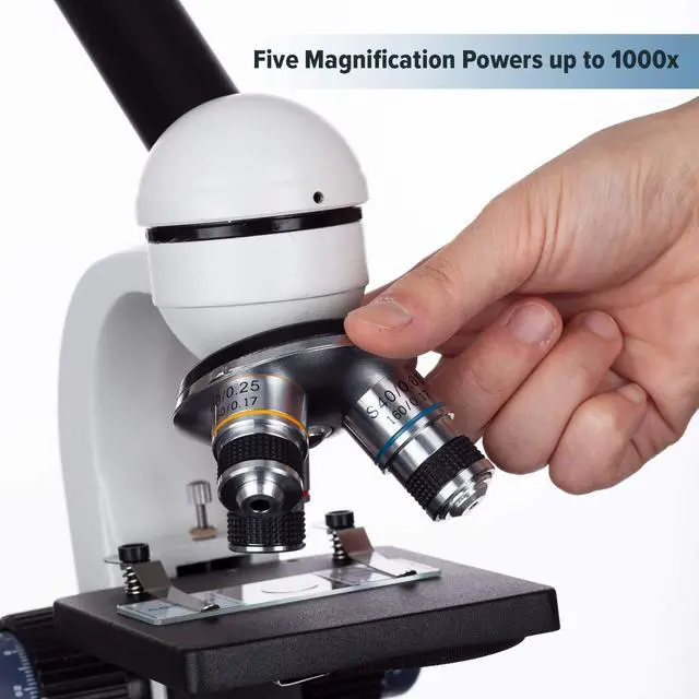 Alt view image 6 of 6 - M150C-MS 1000X Biological Compound Microscope with Sturdy | 40X-1000X Magnification Range All-Metal Construction Optical Glass Lenses Mechanical Stage