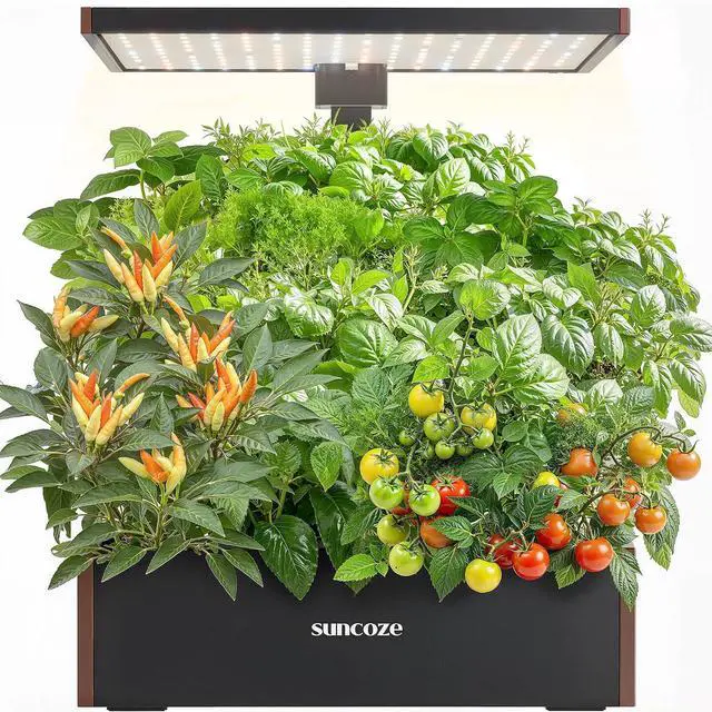 Main image of Hydroponics Growing System Kit, 20 Pods Indoor Herb Garden with 10L Large Tank & Adjustable Height 25", 30W LED Grow Light, LCD Display with Veg/Flower Modes, Pump & Low Water Reminder, Black
