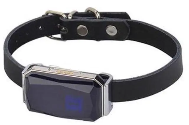 Main image of G12 GPS Location Tracker Wearable Smart Collar Pet Tracking Locator Waterproof IP67 Anti-lost Record Multifunctional for Cat Dog