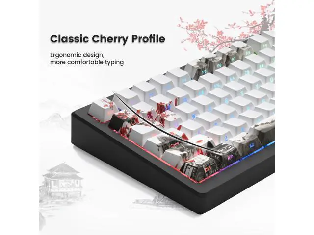 Alt view image 4 of 5 - Womier PBT Keycaps, Custom White Japanese Keyboard Keycaps 60 65 75 100 Percent, Shine Through Cherry Profile Keycaps, Doubleshot Side Print Dye Sub Keycaps Set 127 Keys, Cherry Blossom (White3)