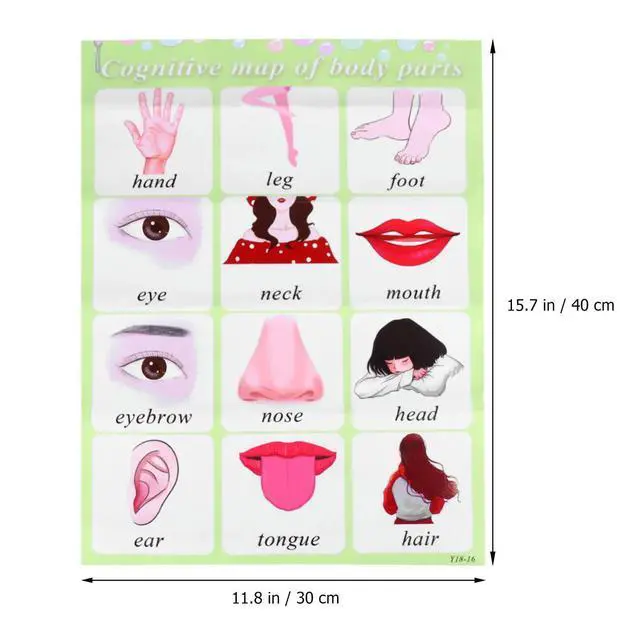 Alt view image 3 of 3 - English Words Wall Chart Educational Preschool Learning Poster Baby Early Education Alphabet Chart Color Recognition