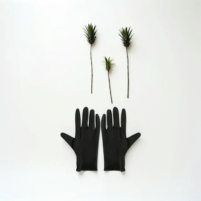 Main image of 12Pairs Cotton Protective Gloves Lightweight Work Gloves for Industrial Gardening Cleaning Fingerprint-Free Use