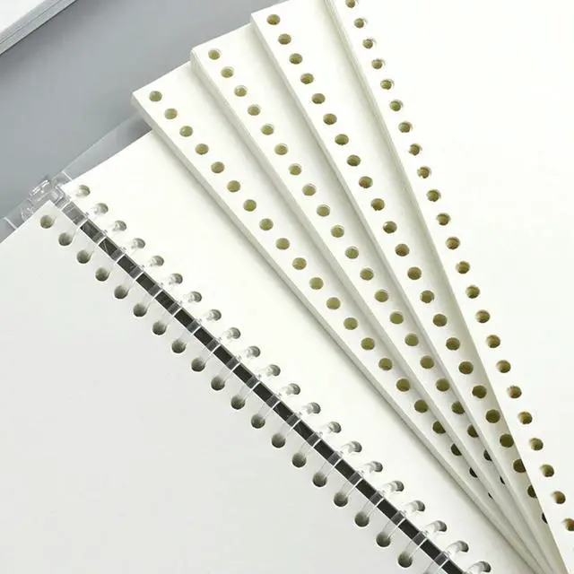 Main image of 50 Sheets B5 Sketch Paper Thick Loose-Leaf Drawing Replacement Sheets Smudge Resistant Paper for Painting Drawing Accessories