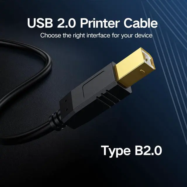 Alt view image 4 of 5 - USB 2.0 Cable - A-Male to B-Male -Printer/Scanner 10 Feet (3 Meters)