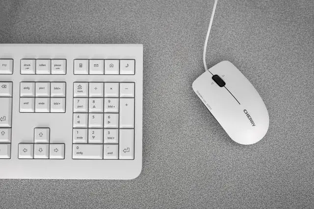 Alt view image 7 of 7 - Electronics JK-0800EU-0 KC 1000 Economical Corded Keyboard, Pale Gray