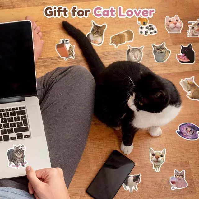 Alt view image 7 of 7 - 100 Pcs Cat Stickers, Funny Cat Meme Stickers, Cute Kitten Decals for Laptop Water Bottles Phone Guitar Luggage, Waterproof Vinyl Decals for Adults Kids Teens Boys Girls