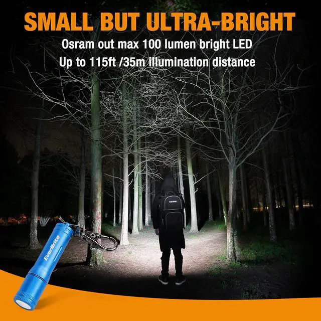 Alt view image 4 of 7 - Keychain LED Flashlight Mini Bright Key Ring Portable Pocket Torch for EDC, Party Favors, Night Reading, Camping, Power Outage, Emergency, AAA Battery Included, Blue
