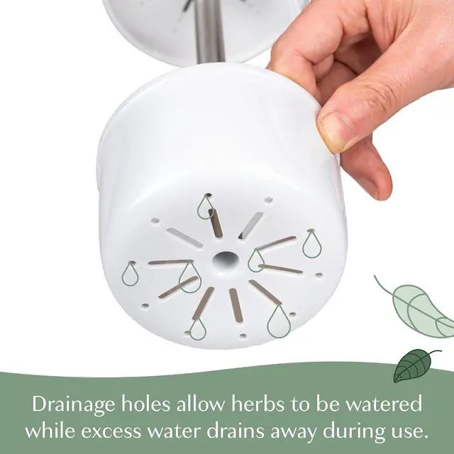 Alt view image 4 of 6 - Herb Keeper Preserver, Designed for Optimum Breathable Airflow for Maximum Freshness, Water Line Ensures the Use of the Right Amount of Water, Stores in your Refrigerator