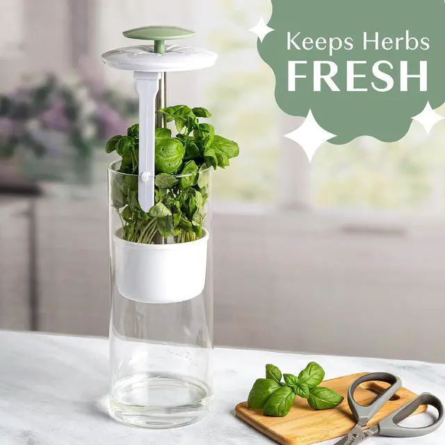 Alt view image 5 of 6 - Herb Keeper Preserver, Designed for Optimum Breathable Airflow for Maximum Freshness, Water Line Ensures the Use of the Right Amount of Water, Stores in your Refrigerator