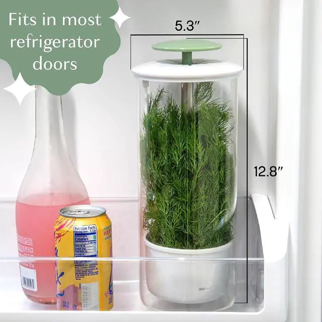 Alt view image 3 of 6 - Herb Keeper Preserver, Designed for Optimum Breathable Airflow for Maximum Freshness, Water Line Ensures the Use of the Right Amount of Water, Stores in your Refrigerator