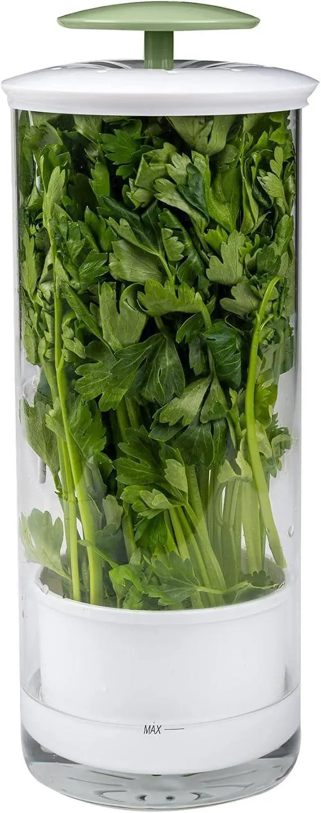 Alt view image 2 of 6 - Herb Keeper Preserver, Designed for Optimum Breathable Airflow for Maximum Freshness, Water Line Ensures the Use of the Right Amount of Water, Stores in your Refrigerator