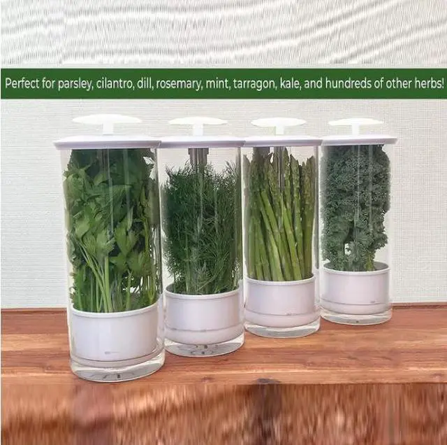 Alt view image 6 of 7 - Herb Keeper Preserver, Designed for Optimum Breathable Airflow for Maximum Freshness, Water Line Ensures the Use of the Right Amount of Water, Stores in your Refrigerator White