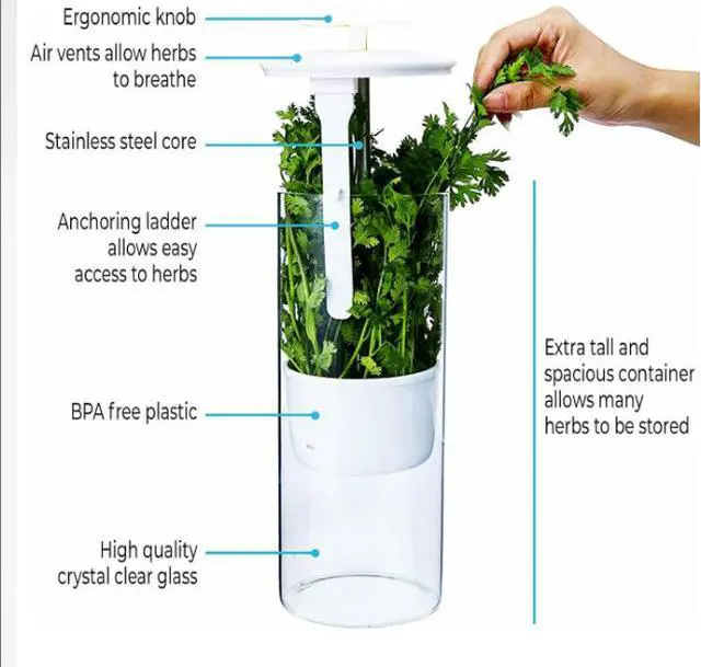 Alt view image 7 of 7 - Herb Keeper Preserver, Designed for Optimum Breathable Airflow for Maximum Freshness, Water Line Ensures the Use of the Right Amount of Water, Stores in your Refrigerator White