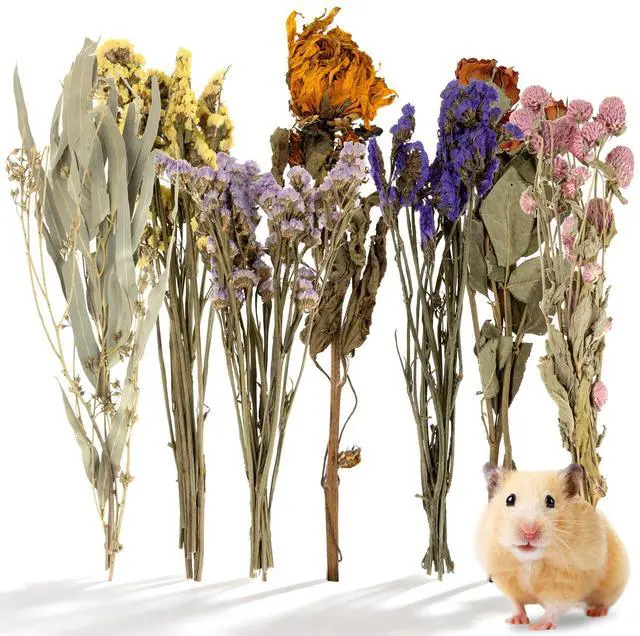 Main image of Hamster Bedding Sprays Habitat Decor - Natural Hamster Cage Accessories with Floral Forage, Layered Small Animal Habitat Decor for Hamster Enrichment, Syrian Hamster Hideout Cage Decor