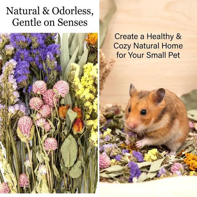 Alt view image 3 of 6 - Hamster Bedding Sprays Habitat Decor - Natural Hamster Cage Accessories with Floral Forage, Layered Small Animal Habitat Decor for Hamster Enrichment, Syrian Hamster Hideout Cage Decor