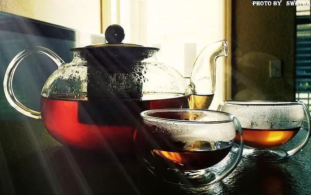 Alt view image 4 of 6 - Glass Teapot with Stainless Steel Infuser & Lid, Borosilicate Glass Tea Pot Stovetop Safe, Blooming & Loose Leaf Teapots, 27 Oz