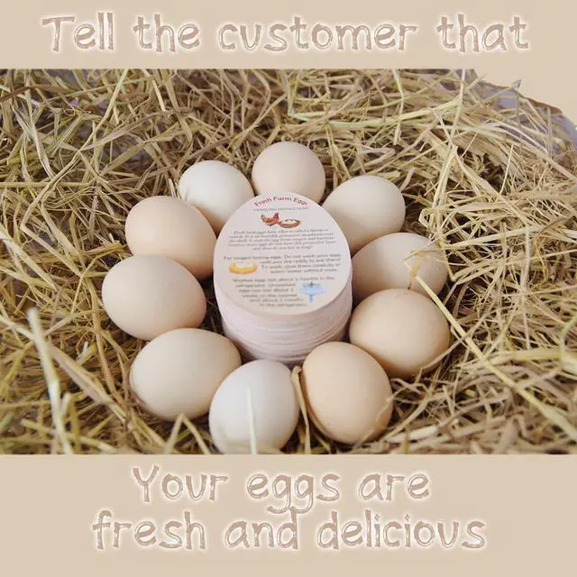 Alt view image 5 of 7 - Fresh Farm Egg Handling Instruction Cards - 2.7 X 3.5 Inches - Eggs Shape Style - Egg Stamps for Eggs Care Egg Cartons Cheap Bulk - Egg Stamps for Fresh Eggs for Egg Cartons Reusable (250)