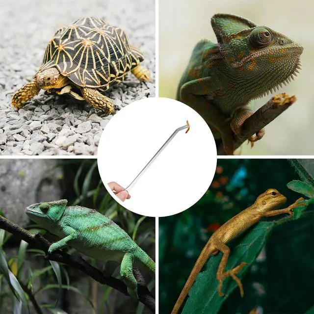 Alt view image 6 of 7 - 2PCS 10.6" Stainless Steel Aquarium & Reptile Feeding Tweezers