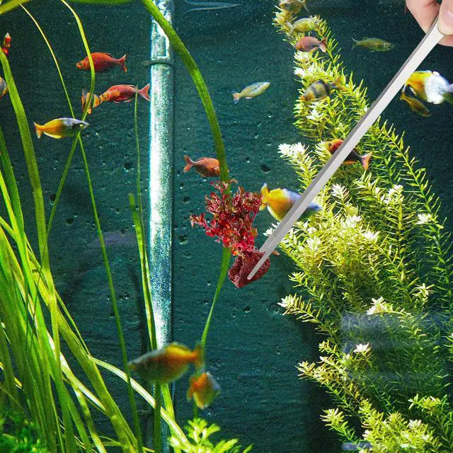 Alt view image 7 of 7 - 2PCS 10.6" Stainless Steel Aquarium & Reptile Feeding Tweezers