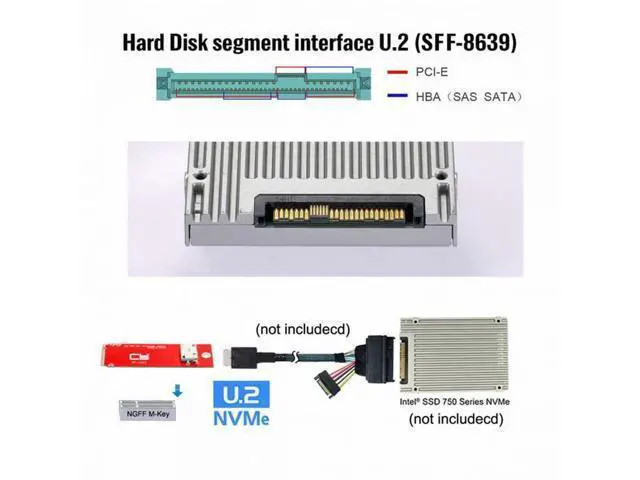 Alt view image 7 of 7 - U.2 SFF-8639 Cable PCI-E 3.0 M.2 M-key to Oculink SFF-8612 SFF-8611 Host Adapter for PCIe Nvme SSD 2260 SF-017+023