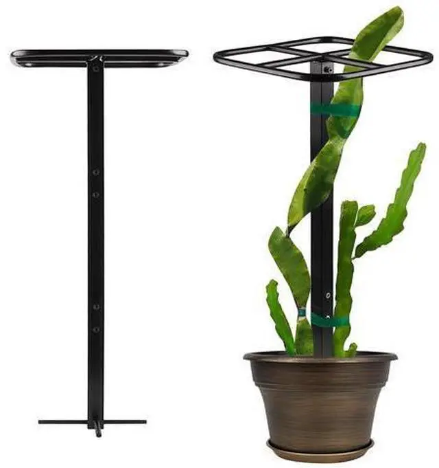 Main image of Dragon Fruit Climbing Frame, Metal Trellis for Cucumber Plants, Vertical Garden Support for Indoor and Outdoor Use