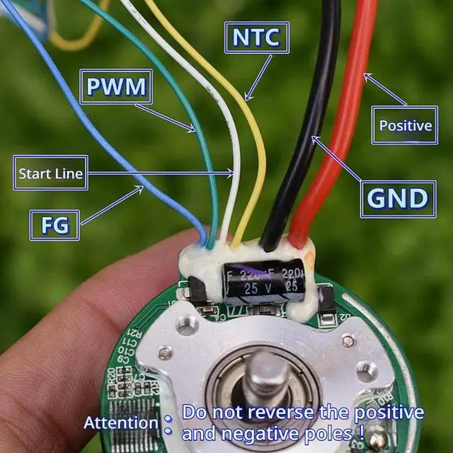 Main image of DC12V Brushless Motor with Neodymium-iron-boron Strong Magnet Large Torque with 6mm Shaft Diameter 2440 RPM Brushless Motor