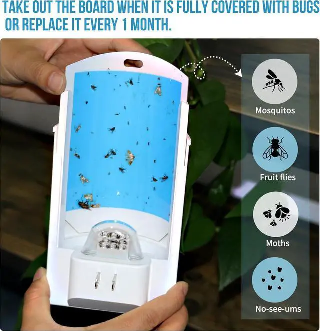 Alt view image 5 of 7 - Blue UV Light Flying Insect Trap, Plug-in Bug Catcher with 4 Sticky Refills for 100+ Days, Fly Catcher for Flies, Fruit Flies, Gnats, Moths, Silent for Home