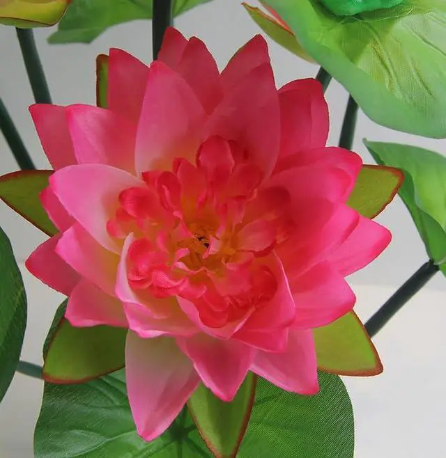 Alt view image 2 of 6 - 2 Bouquets Artificial Lotus Flowers,21" Real-Touch Water Lilies Tabletop Flower for Wedding,Party,Office,Home Indoor Outdoor Decoration