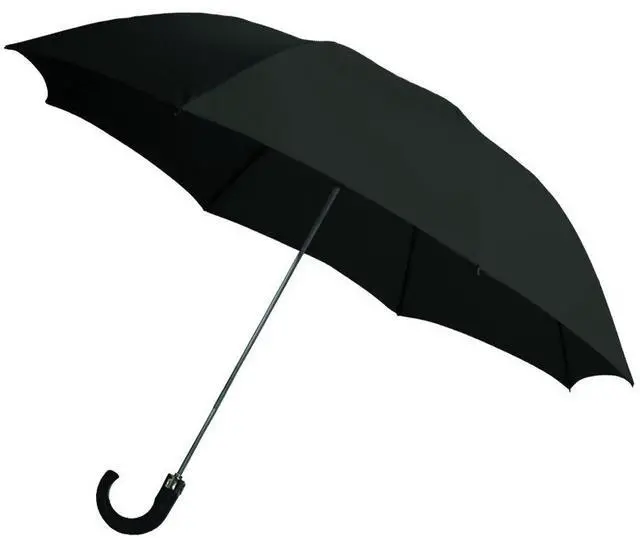 Main image of 2-Fold Auto Open Umbrella with Storage Sleeve and Plastic Hook Handle, Black, 42"