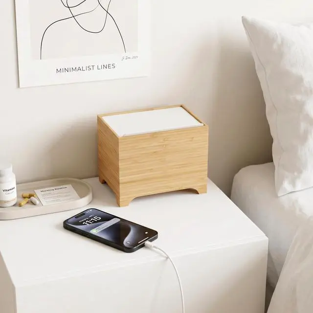 Main image of Mini Trash Can with Lid, Bamboo Desktop Small Trash Can Recycling Bin Cute Metal Garbage Can for Tabletop Countertop Use,Stainless Steel 1.2Gal/4.5L Waste Bin for Office Parlor Car Bedroom