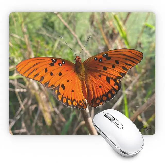 Main image of Extra Thick Mouse Pad (5.5mm) Non-Slip Rubber Base, Smooth Surface for Precision Comfortable Small Mousepad for Work, Office & Gaming Durable Desk Mouse Pad