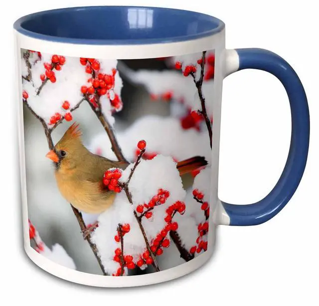 Main image of Northern Cardinal on Common Winterberry, Marion, Illinois, USA. 15oz Two-Tone Blue Mug