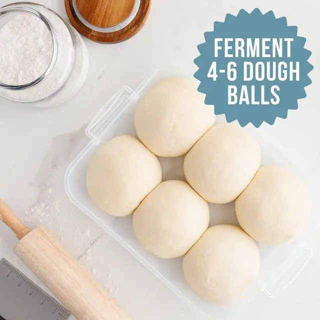 Alt view image 2 of 7 - Pizza Dough Proofing Box, 14 x 11-Inch, Preparation Container with Lid, Fits 4-6 Proofing Balls, Household Pizza and Bread Dough Tray With Convenient Carry Handle (Blue)