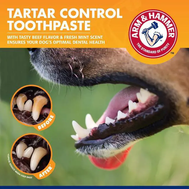 Alt view image 4 of 7 - Tartar Control Enzymatic Dog Toothpaste, Beef Flavor, 2.5 Oz | Enzymatic baking soda formula, meat flavor, plaque and tartar reduction, all dogs and puppies