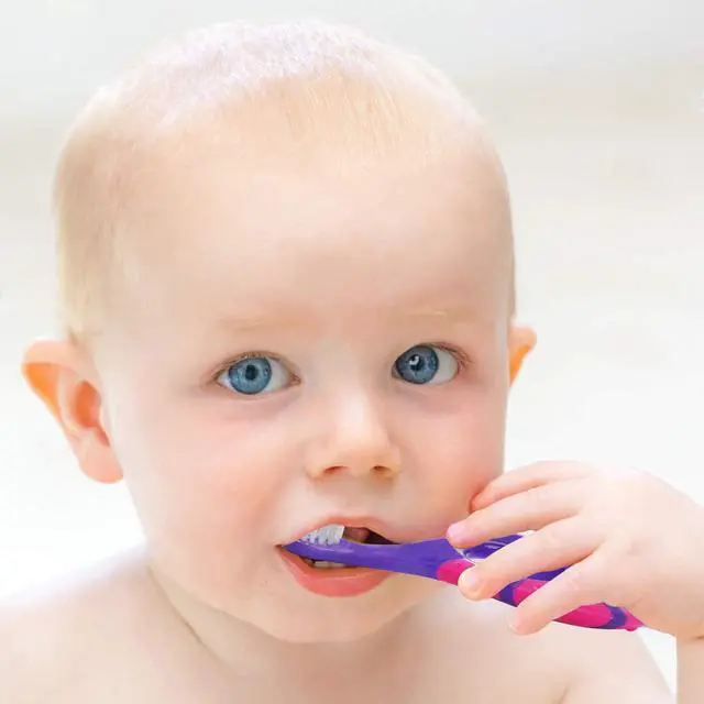 Alt view image 6 of 7 - Baby Toothbrush & Toddler Toothbrush for Age 0-2 Years Old | Extra Soft Bristle for Baby Teeth & Infant Gums | Easy-Grip Finger Handle & Teething Pad | Dentist Recommended | 6-Pack