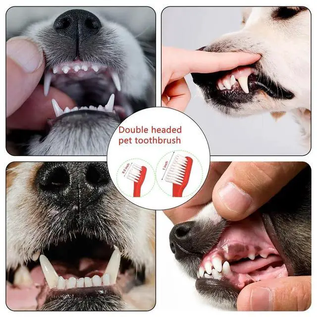 Alt view image 5 of 5 - Dog Toothbrush Set of 8 Dual Headed Dental Hygiene Brushes for Small to Large Dogs, Easy Teeth Cleaning & Dental Care,Dog Tooth Brushes for Small to Large Dogs, Cats, and Most Pets