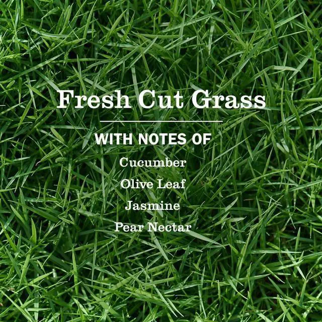 Alt view image 2 of 3 - MRS. MEYER'S CLEAN DAY Liquid Dish Soap, Fresh Cut Grass, 16 fl oz