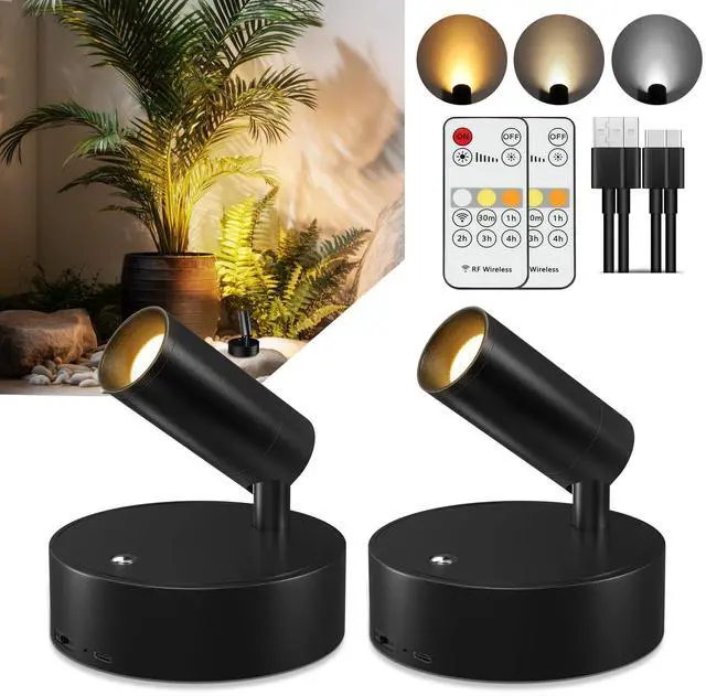 Main image of Spot Lights Indoor, 4000mAh Rechargeable Battery LED Spotlight Indoor with Remote, Wireless Picture Lights with Timer Dimmable, Uplights Indoor for Plants, Wall Art Display (2 Pack)