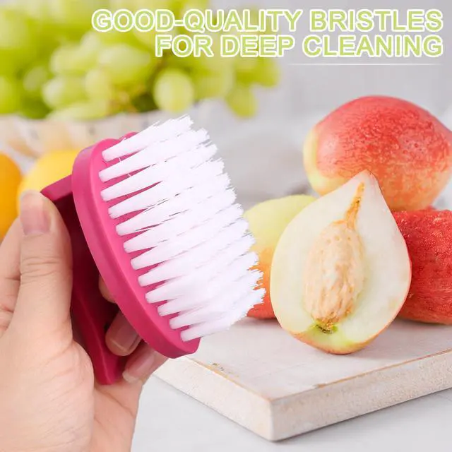 Alt view image 4 of 7 - 2pcs Vegetable Scrubber Brushes, 8x7x6.5cm/3.15x2.76x2.56in PP Material Fruit and Veggie Brush with Stiff Bristles and Handle for Potatoes Carrots & Fruits (Red & Green)